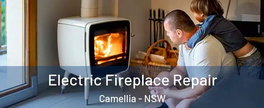 Electric Fireplace Repair Camellia - NSW