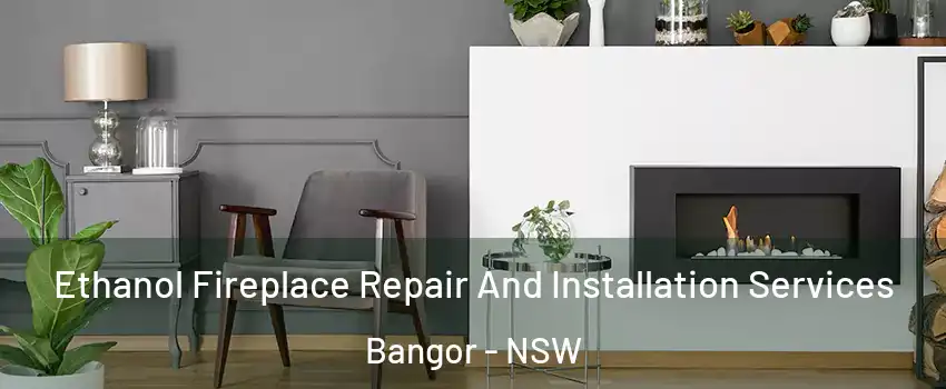 Ethanol Fireplace Repair And Installation Services Bangor - NSW