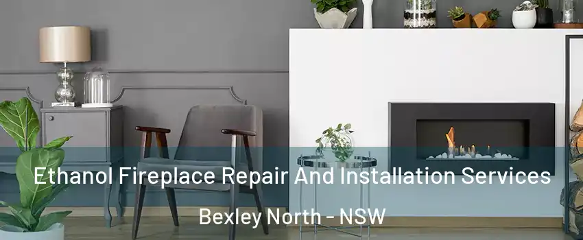 Ethanol Fireplace Repair And Installation Services Bexley North - NSW