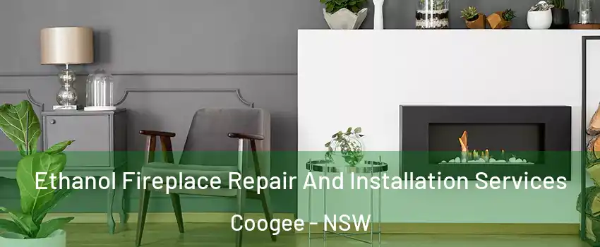 Ethanol Fireplace Repair And Installation Services Coogee - NSW