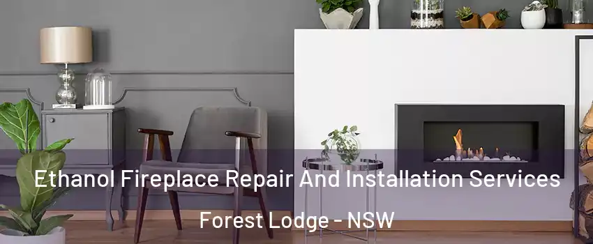 Ethanol Fireplace Repair And Installation Services Forest Lodge - NSW