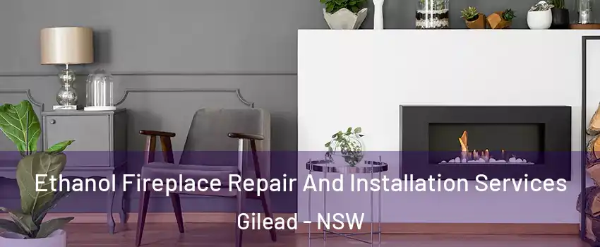 Ethanol Fireplace Repair And Installation Services Gilead - NSW