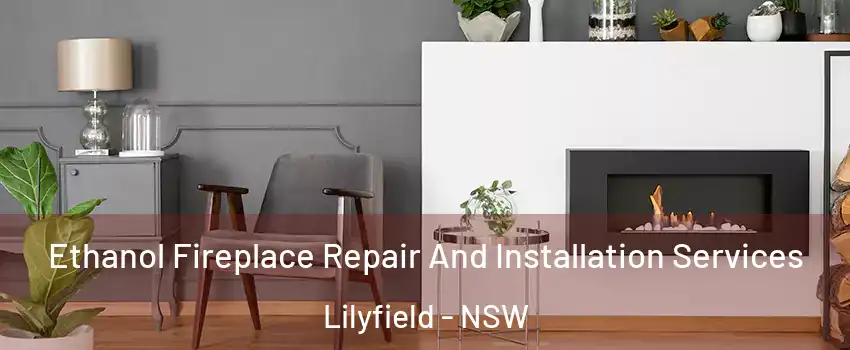 Ethanol Fireplace Repair And Installation Services Lilyfield - NSW