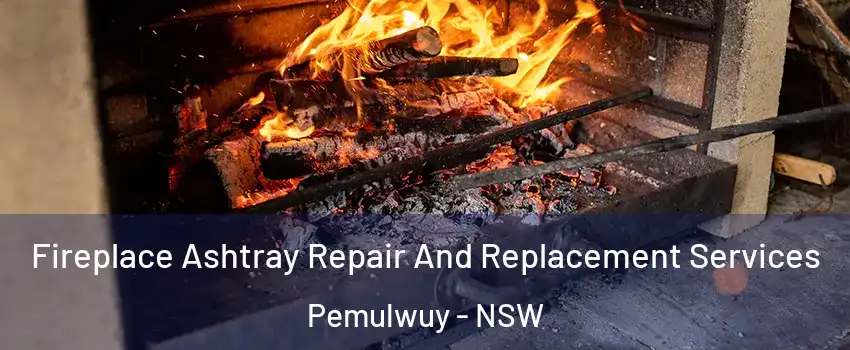 Fireplace Ashtray Repair And Replacement Services Pemulwuy - NSW