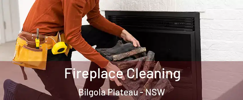 Fireplace Cleaning Bilgola Plateau - NSW