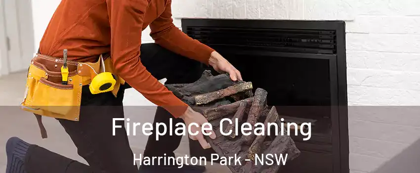 Fireplace Cleaning Harrington Park - NSW