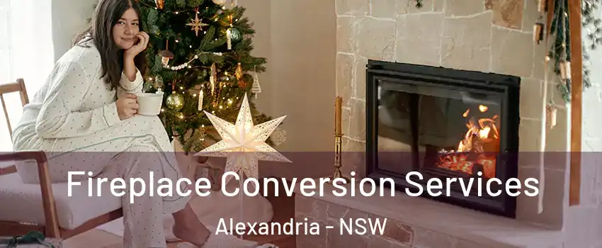 Fireplace Conversion Services Alexandria - NSW