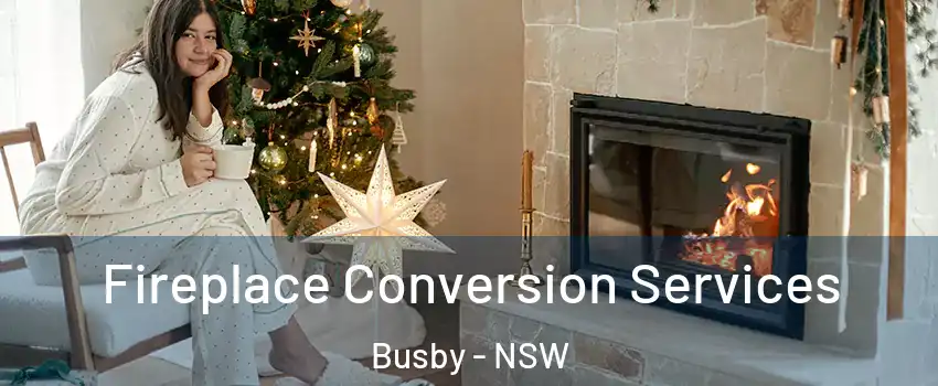Fireplace Conversion Services Busby - NSW