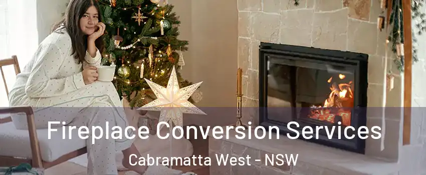 Fireplace Conversion Services Cabramatta West - NSW