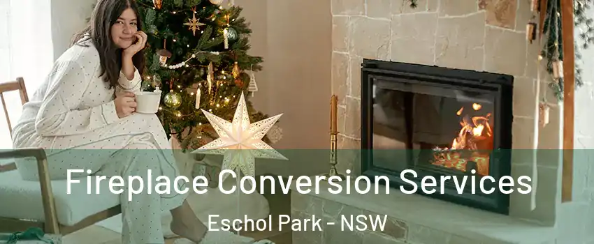 Fireplace Conversion Services Eschol Park - NSW