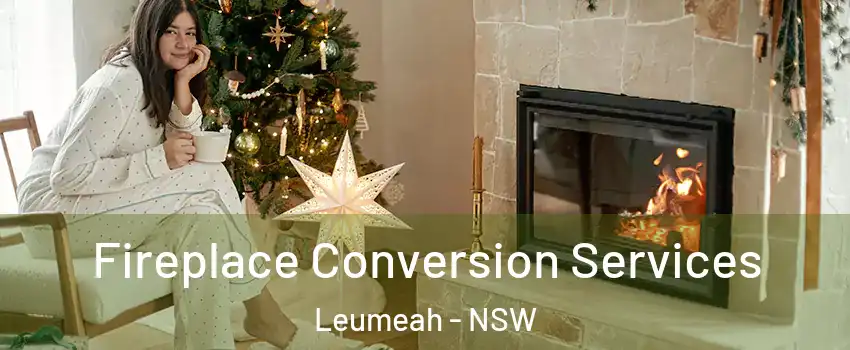 Fireplace Conversion Services Leumeah - NSW