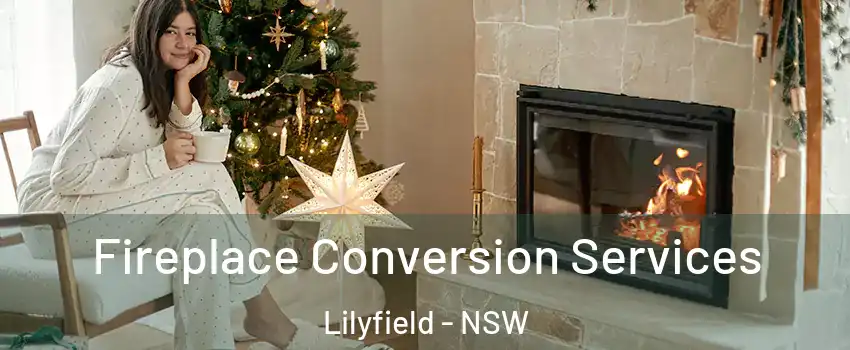 Fireplace Conversion Services Lilyfield - NSW