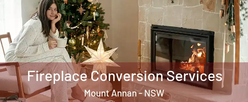 Fireplace Conversion Services Mount Annan - NSW