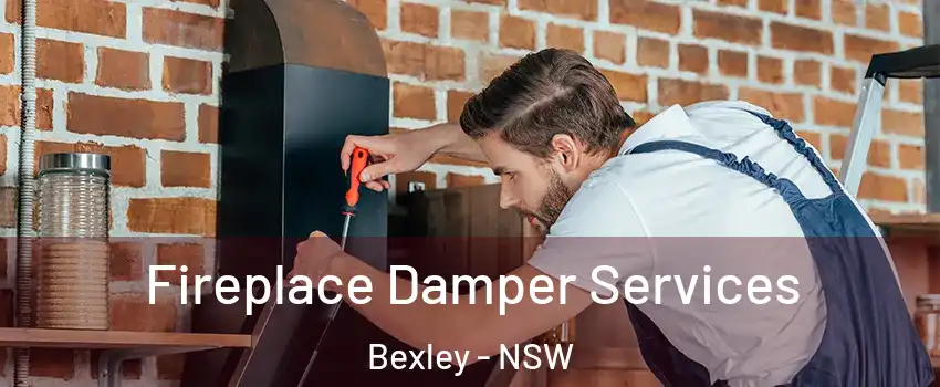 Fireplace Damper Services Bexley - NSW
