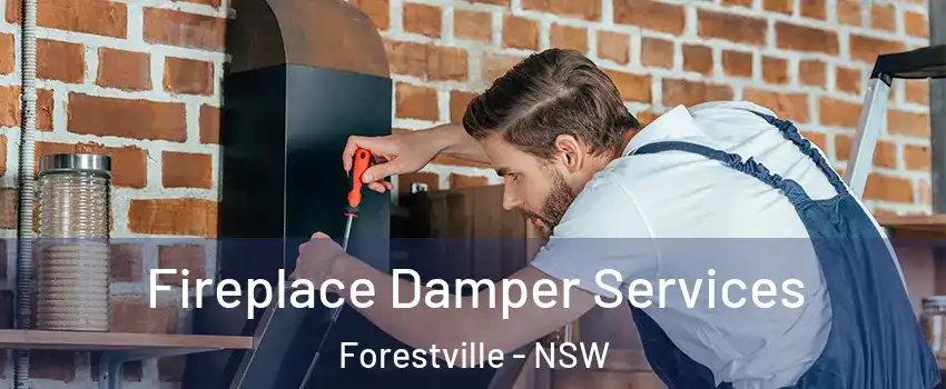 Fireplace Damper Services Forestville - NSW