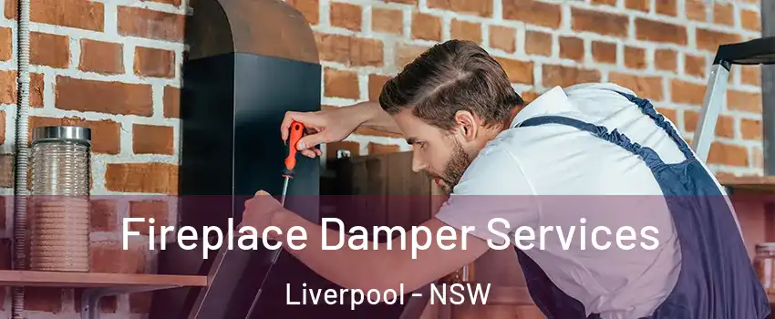 Fireplace Damper Services Liverpool - NSW