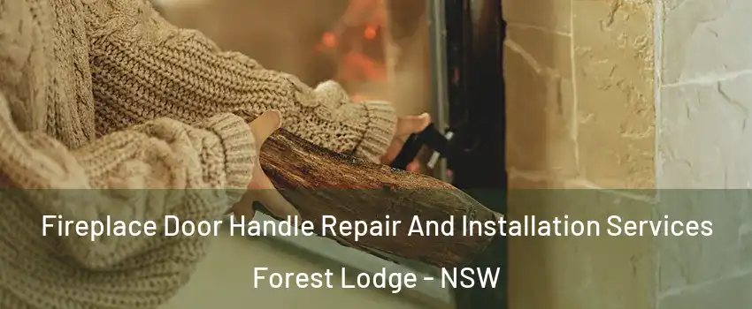 Fireplace Door Handle Repair And Installation Services Forest Lodge - NSW