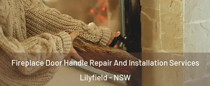 Fireplace Door Handle Repair And Installation Services Lilyfield - NSW