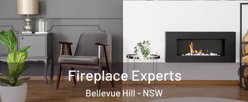 Fireplace Experts Bellevue Hill - NSW