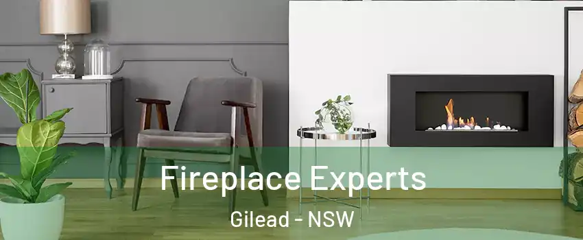 Fireplace Experts Gilead - NSW