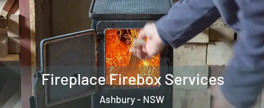 Fireplace Firebox Services Ashbury - NSW