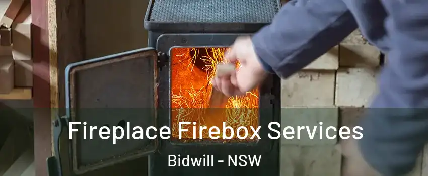 Fireplace Firebox Services Bidwill - NSW