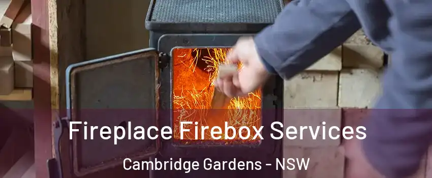 Fireplace Firebox Services Cambridge Gardens - NSW