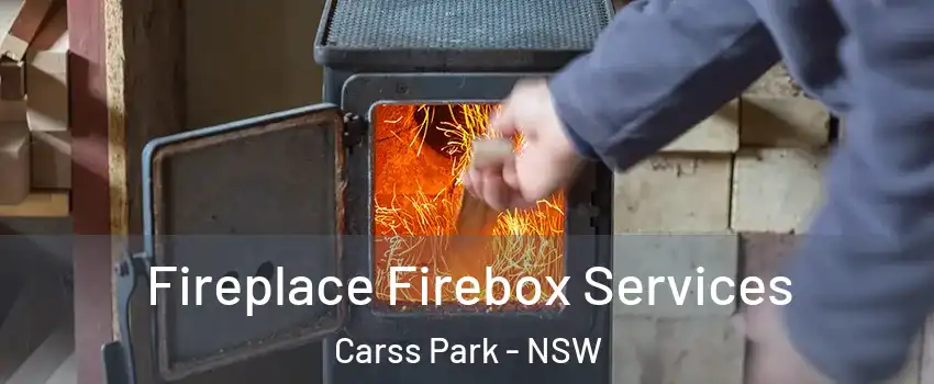  Fireplace Firebox Services Carss Park - NSW