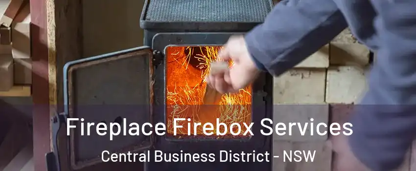 Fireplace Firebox Services Central Business District - NSW