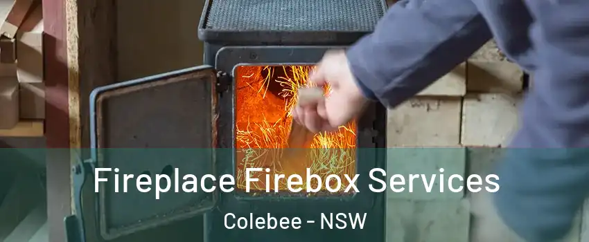 Fireplace Firebox Services Colebee - NSW
