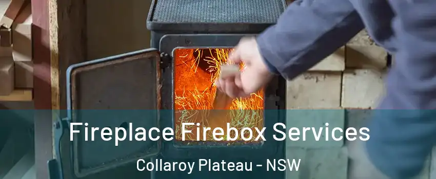 Fireplace Firebox Services Collaroy Plateau - NSW