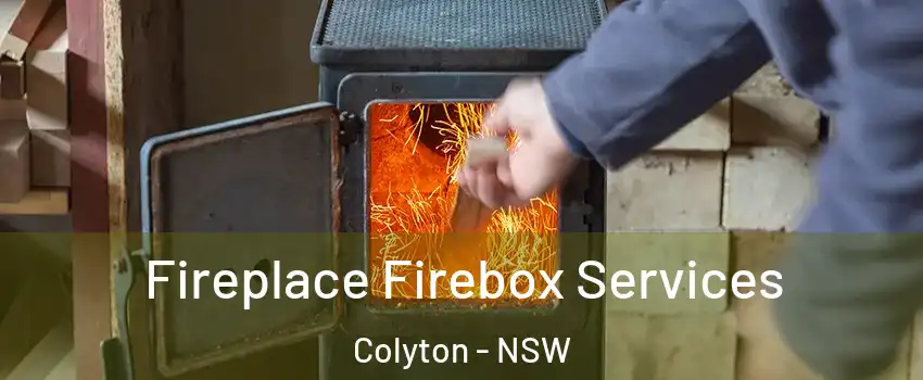 Fireplace Firebox Services Colyton - NSW