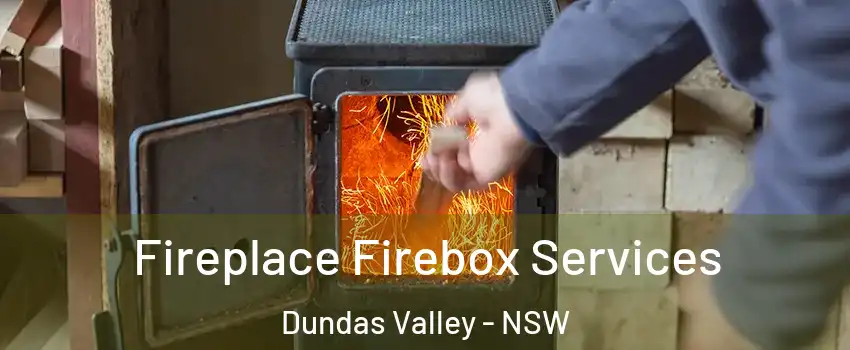 Fireplace Firebox Services Dundas Valley - NSW