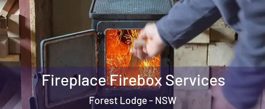 Fireplace Firebox Services Forest Lodge - NSW