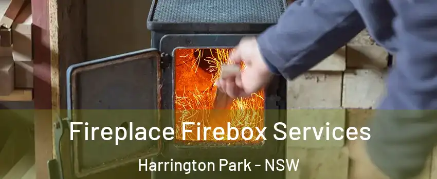 Fireplace Firebox Services Harrington Park - NSW