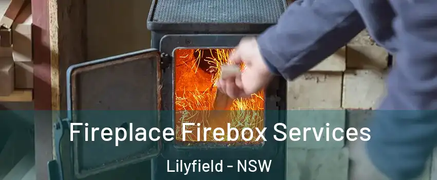 Fireplace Firebox Services Lilyfield - NSW