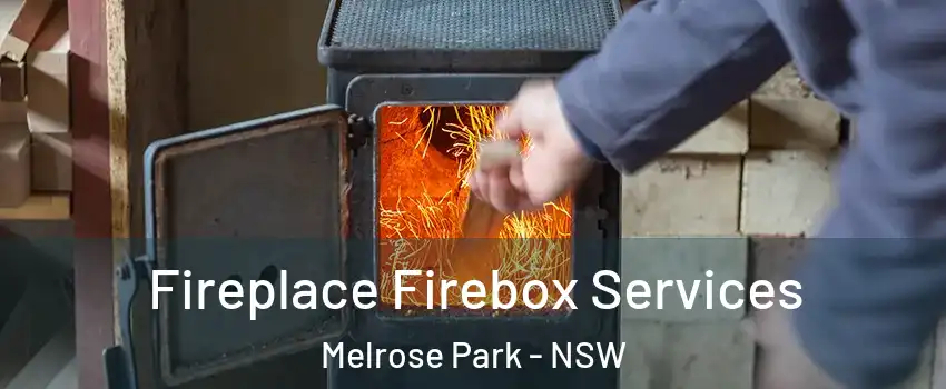 Fireplace Firebox Services Melrose Park - NSW