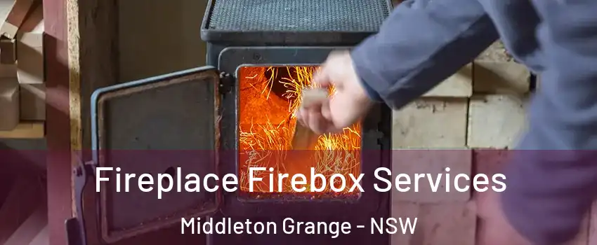 Fireplace Firebox Services Middleton Grange - NSW