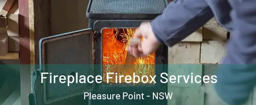 Fireplace Firebox Services Pleasure Point - NSW