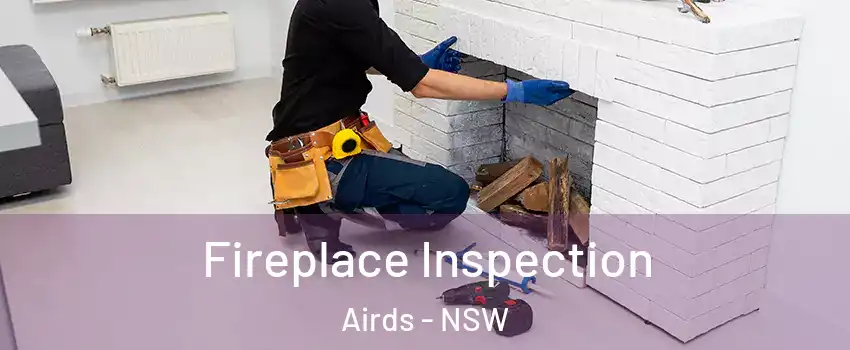 Fireplace Inspection Airds - NSW