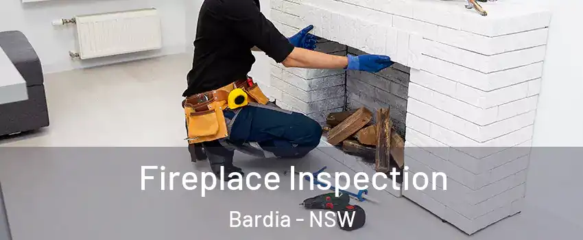 Fireplace Inspection Bardia - NSW