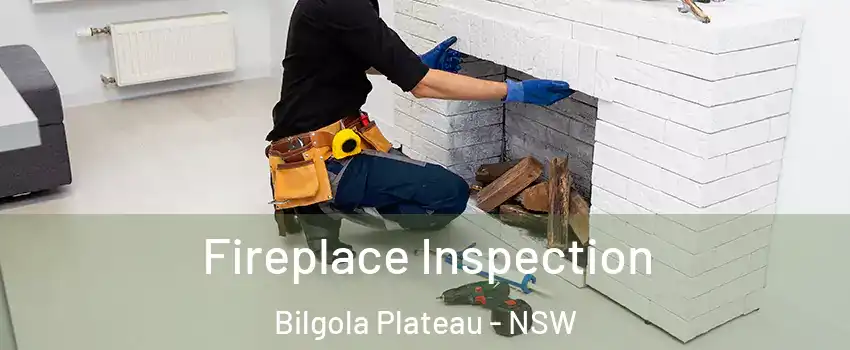 Fireplace Inspection Bilgola Plateau - NSW