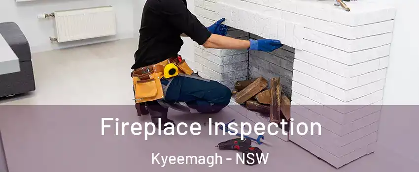 Fireplace Inspection Kyeemagh - NSW