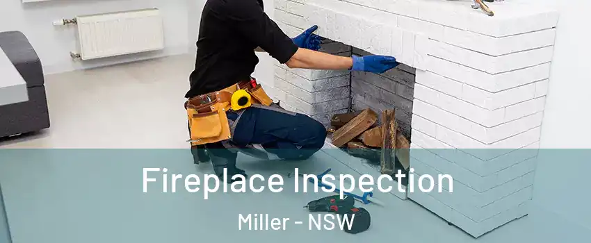 Fireplace Inspection Miller - NSW