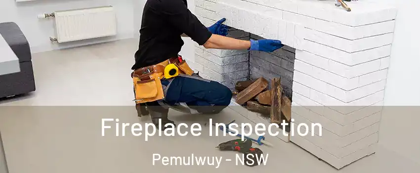 Fireplace Inspection Pemulwuy - NSW