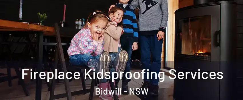  Fireplace Kidsproofing Services Bidwill - NSW