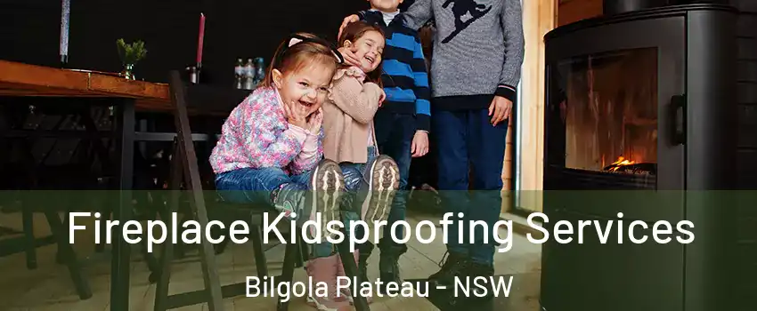  Fireplace Kidsproofing Services Bilgola Plateau - NSW