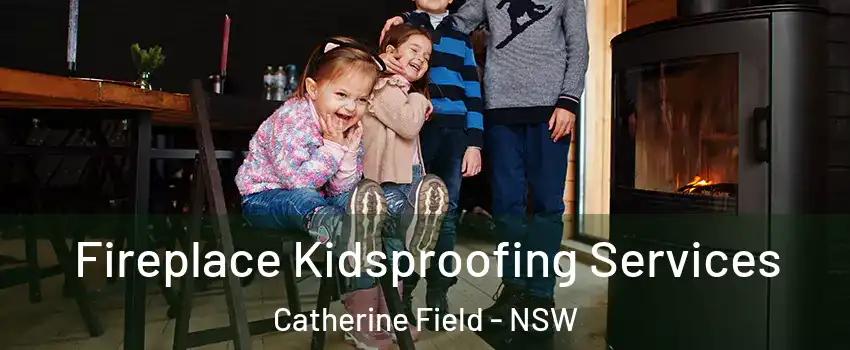 Fireplace Kidsproofing Services Catherine Field - NSW
