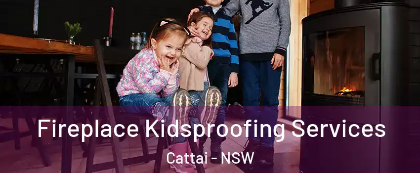 Fireplace Kidsproofing Services Cattai - NSW