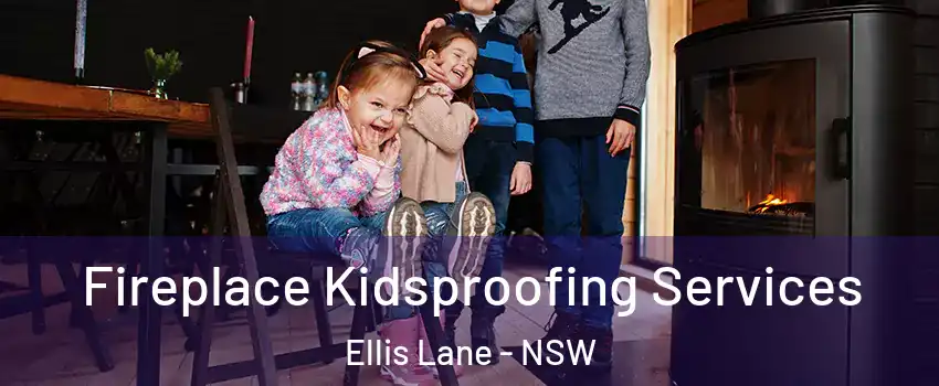Fireplace Kidsproofing Services Ellis Lane - NSW